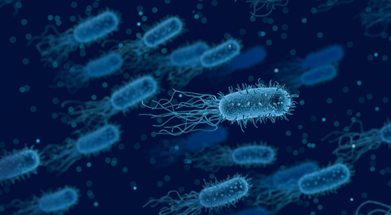 Bakterien als Symbol fir sexuell iwwerdrobar Krankheeten