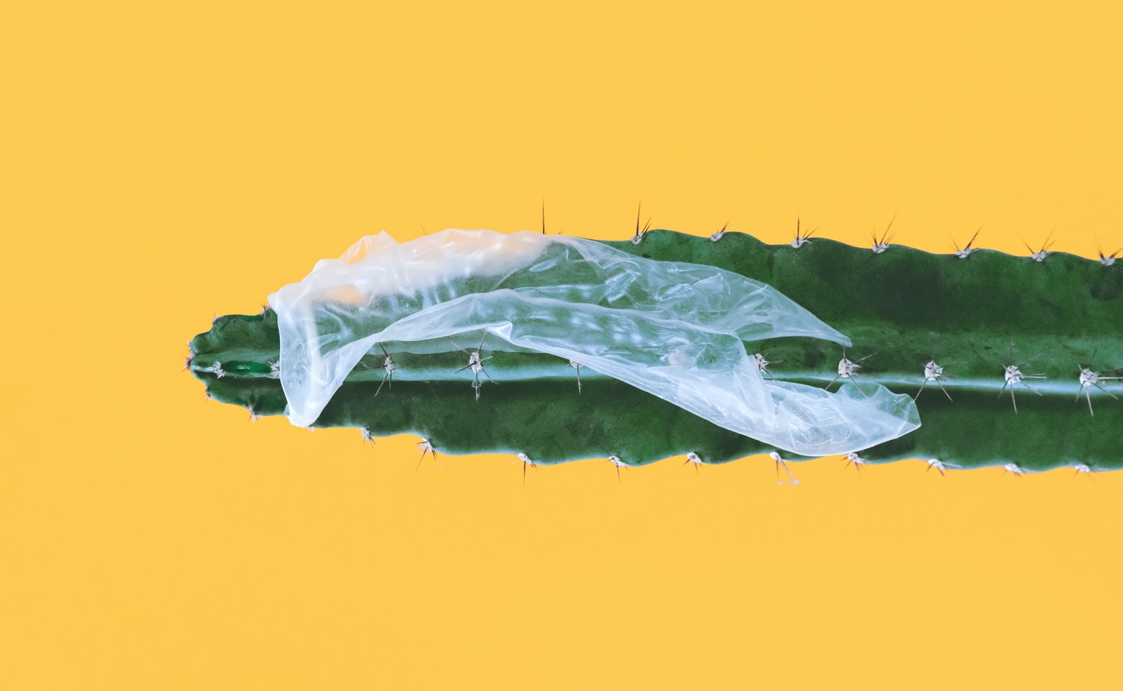 Burst Kondom iwwer Kaktus gestoppt